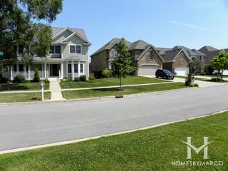 Graue Woods subdivision in Elmhurst, IL