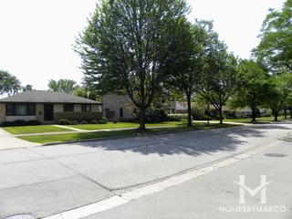 Graue Woods subdivision in Elmhurst, IL