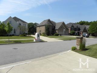 Graue Woods subdivision in Elmhurst, IL