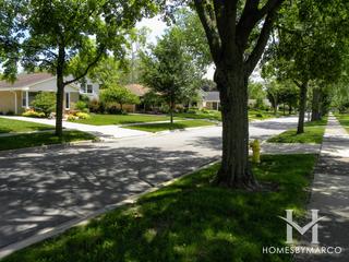 Elmhurst Parkside subdivision in Elmhurst, IL