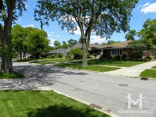 Elmhurst Parkside subdivision in Elmhurst, IL