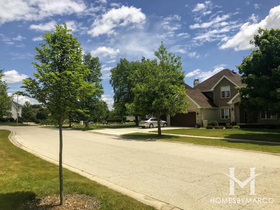 Equestrian Place subdivision in Orland Park, IL