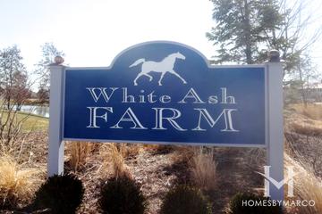 White Ash Farm