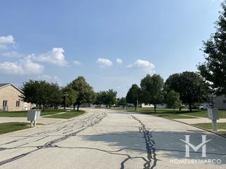 Heron View subdivision in Plainfield, IL