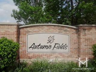 Autumn Fields subdivision in Plainfield, IL