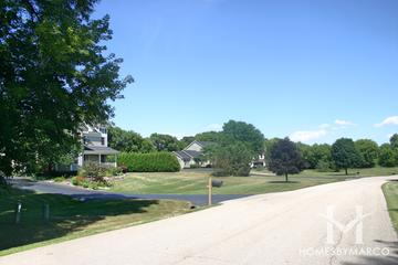 Photos of Greener's Meadows subdivision in Crystal Lake, IL