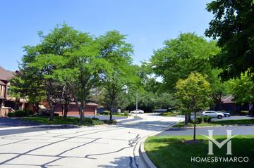 Mistwood subdivision in Downers Grove, IL