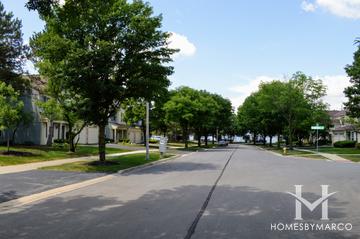 Victoria Ridge subdivision in Downers Grove, IL