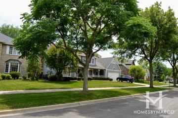 Brookbank Prairie subdivision in Downers Grove, IL
