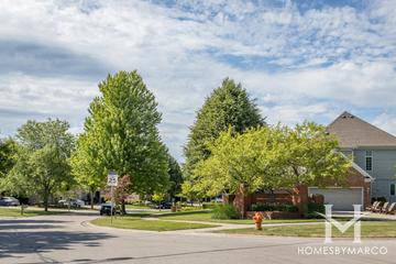 Cress Creek Woods subdivision in Naperville, IL