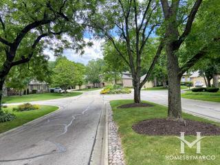 Le Provence subdivision in Naperville, IL