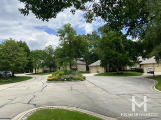 Le Provence subdivision in Naperville, IL