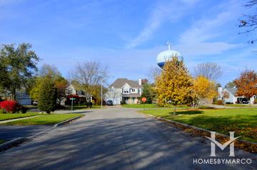 Woodland Preserve subdivision in Lindenhurst, IL