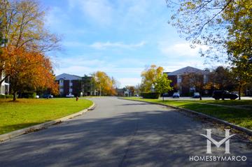 Woodland Preserve subdivision in Lindenhurst, IL