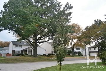 Plum Tree subdivision in Rolling Meadows, IL