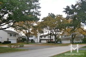Plum Tree subdivision in Rolling Meadows, IL