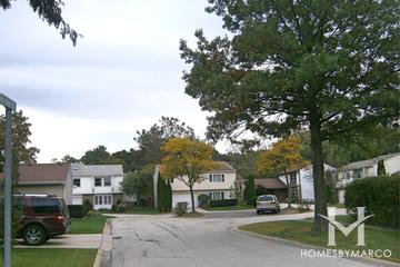 Plum Tree subdivision in Rolling Meadows, IL