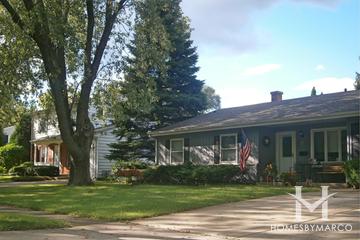 Plum Grove Countryside