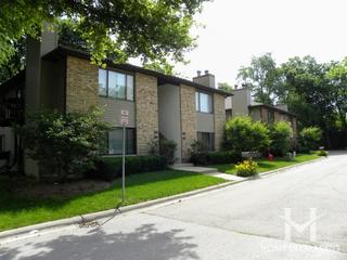 Pinebrook Meadows subdivision in Geneva, IL