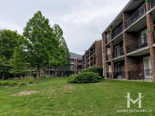 Park Orleans subdivision in Elk Grove Village, IL