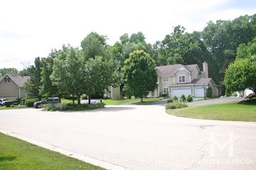 Norge Woods subdivision in Fox River Grove, IL