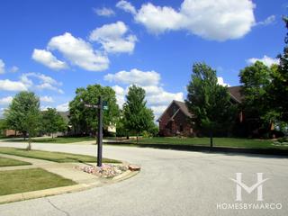 Coquille Point subdivision in Frankfort, IL