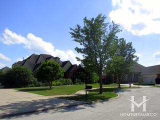 Stonebridge Valley subdivision in Frankfort, IL