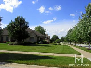 Stonebridge Valley subdivision in Frankfort, IL