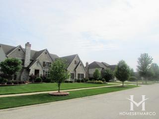Vistana subdivision in Frankfort, IL