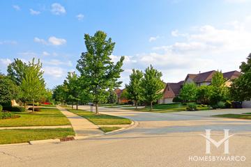 Cardinal Lake subdivision in Frankfort, IL