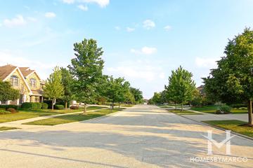 Cardinal Lake subdivision in Frankfort, IL