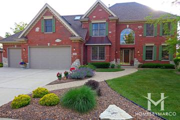 Cardinal Lake subdivision in Frankfort, IL