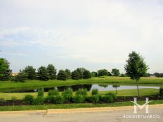 Newbrook Estates subdivision in Frankfort, IL