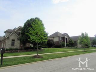 Newbrook Estates subdivision in Frankfort, IL