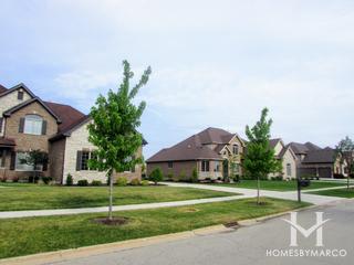 Newbrook Estates subdivision in Frankfort, IL