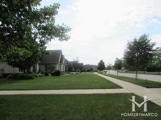 Newbrook Estates subdivision in Frankfort, IL