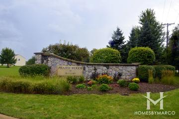 Photos of Prairie Woods subdivision in Island Lake, IL