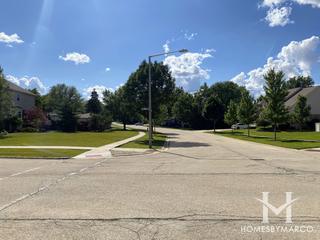 Laurel Meadow subdivision in New Lenox, IL