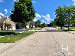 Laurel Meadow subdivision in New Lenox, IL