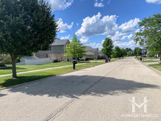 Laurel Meadow subdivision in New Lenox, IL