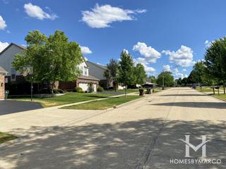 Laurel Meadow subdivision in New Lenox, IL