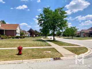 Laraway Ridge subdivision in New Lenox, IL