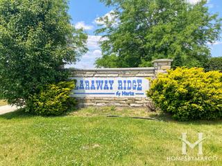Photos of Laraway Ridge subdivision in New Lenox, IL
