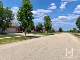 Taylor Glen subdivision in New Lenox, IL