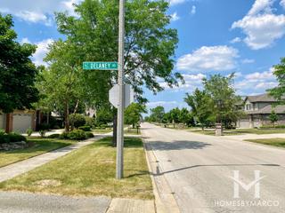 Taylor Glen subdivision in New Lenox, IL