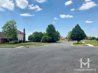 Royal Meadows subdivision in New Lenox, IL