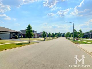 Cherry Hill Meadows subdivision in New Lenox, IL