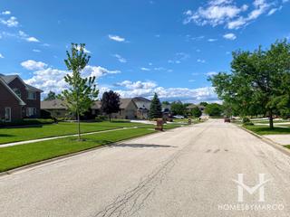 Photos of Walker Country Estates subdivision in New Lenox, IL