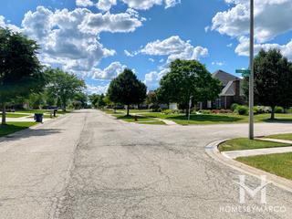 Hibernia Estates subdivision in New Lenox, IL
