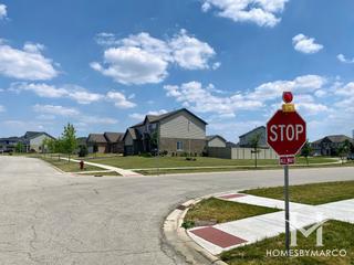 Nantucket Lakes subdivision in New Lenox, IL